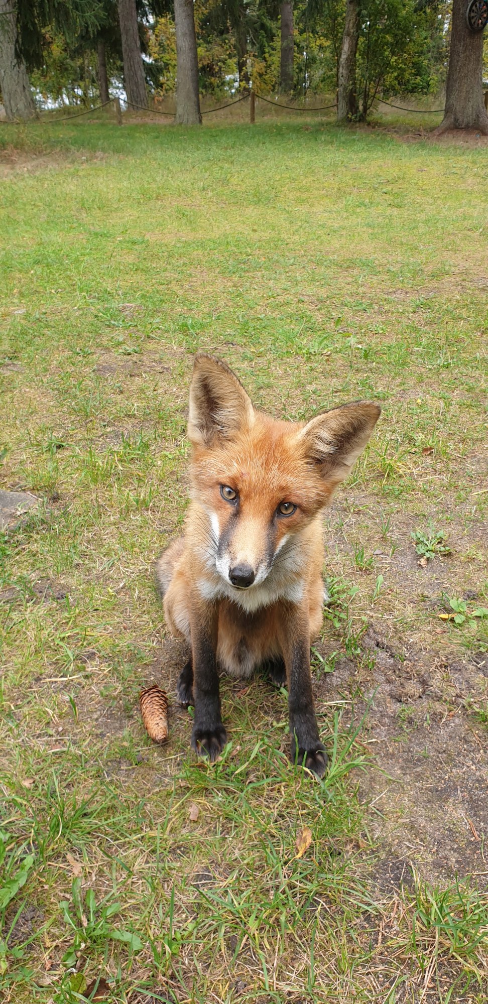 Admiralimaja galerii